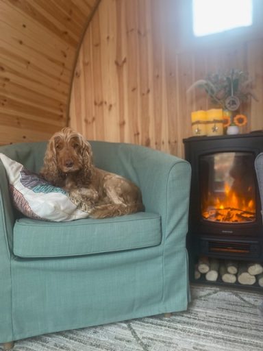 A brown dog resting on a soft chair beside a small electric fireplace.
