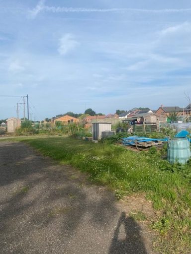 Rural landscape with buildings, water tanks, and overgrown greenery under a blue sky.