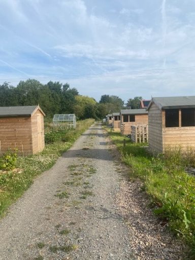Pathway at Wolston Allotments - shows reasonably flat but pebbled pathway.