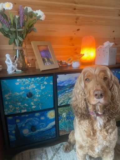 A brown dog sits in front of a colourful dresser with a vase of flowers and a lamp.
